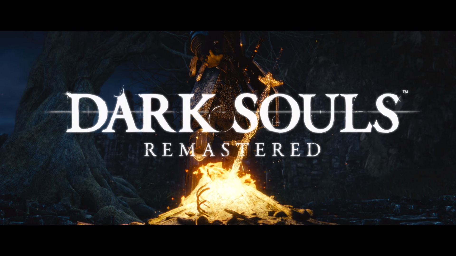 Dark soul prepare to die edition steam фото 89