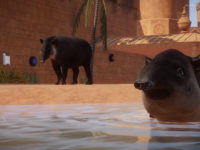 Planet Zoo Offers Up Its Latest Gameplay Before The Beta