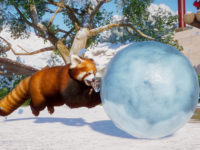 It Is That Snowy Time Of The Year In Planet Zoo