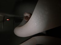 Take A Bite Of A New Demo That Is Out There For Digested