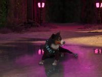 Barkour Let’s The Dog Out There More Into The Gaming World With New Looks