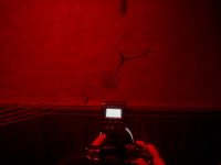 She’s Leaving Is Ready For Us All To Start The Investigation Out There