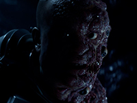 The Movie Nights Are Coming Back To Us Within Directive 8020