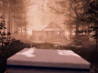 Walk Through A Bit Of The Gameplay We Are Going To Have In Project Songbird