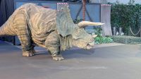 Universal Fan Fest Nights 2026 — Jurassic Park