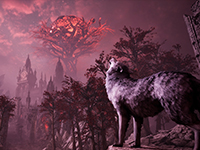 Stray Dog: Nobody Cares Places A Blade Into The Mouth Of Another Animal